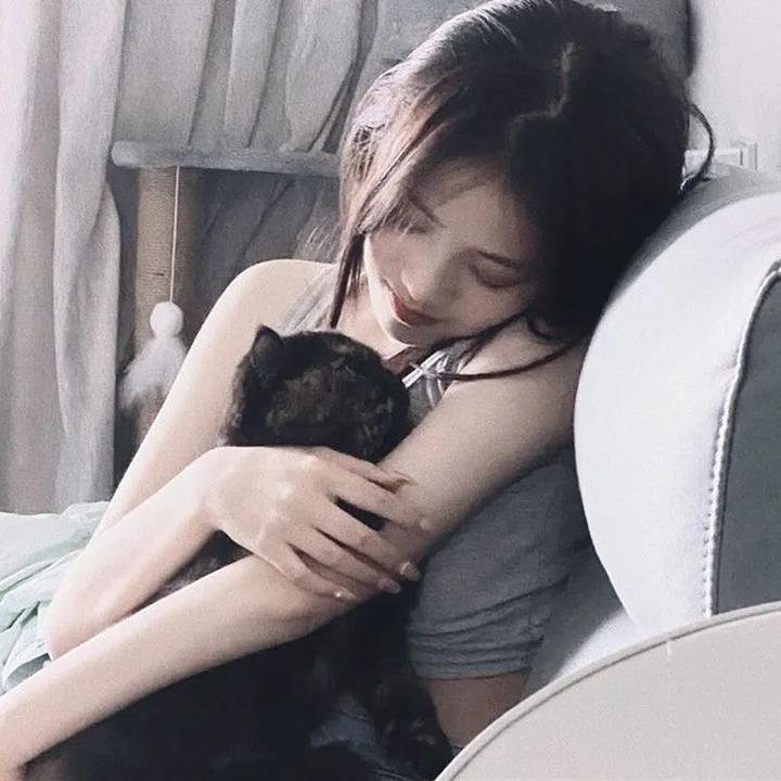 猛龙怪客3 在线观看封面